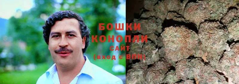 Шишки марихуана OG Kush  MEGA зеркало  Куйбышев 